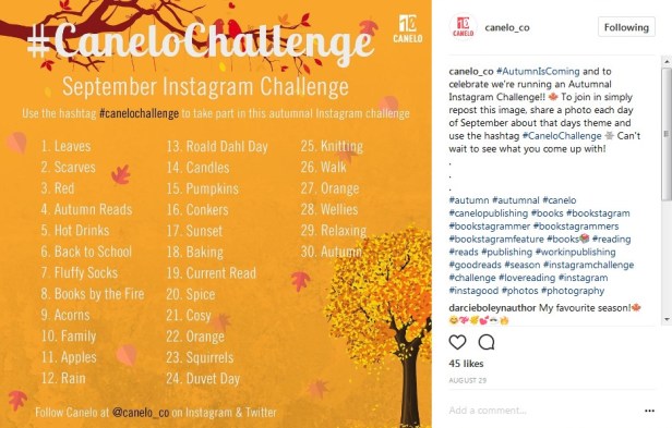 canelo challenge