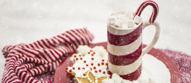 pexels-photo-260476 (2)