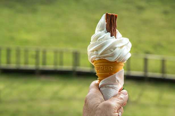 Mr whippy ice-cream cone with a flake