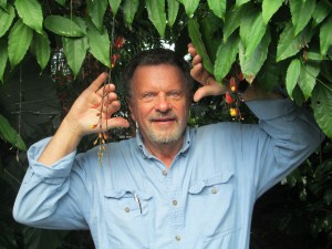 Kim Krisco Author Image