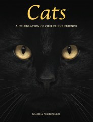 2925_Cats_Bundle_thumb