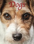Dogs: A Celebration of Friends by Tom Jackson