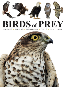 Birds of Prey by Tom Jackson