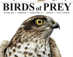 Birds of Prey by Tom Jackson