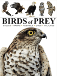 Birds of Prey by Tom Jackson