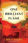 One Brilliant flame by Joy Castro