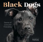 Black Dogs: Stories of Love and Friendship by Fred Levy