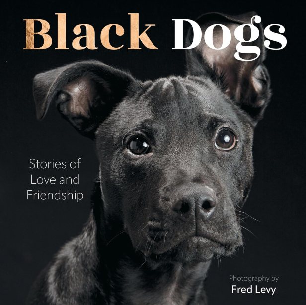 Black Dogs: Stories of Love and Friendship by Fred Levy
