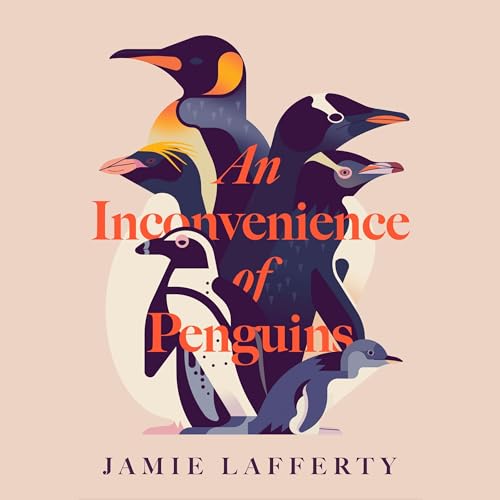 An Inconvenience of Penguins by Jamie Lafferty