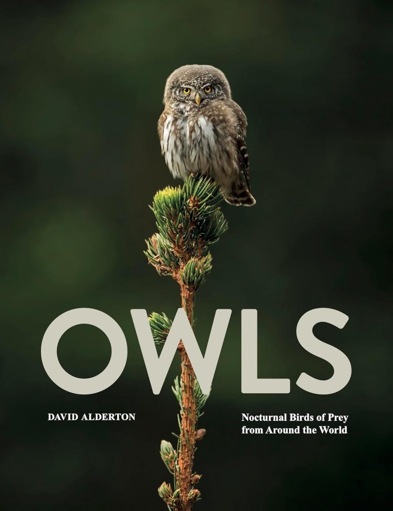 Owls: Nocturnal Birds of Prey from Around the World by David Alderton
