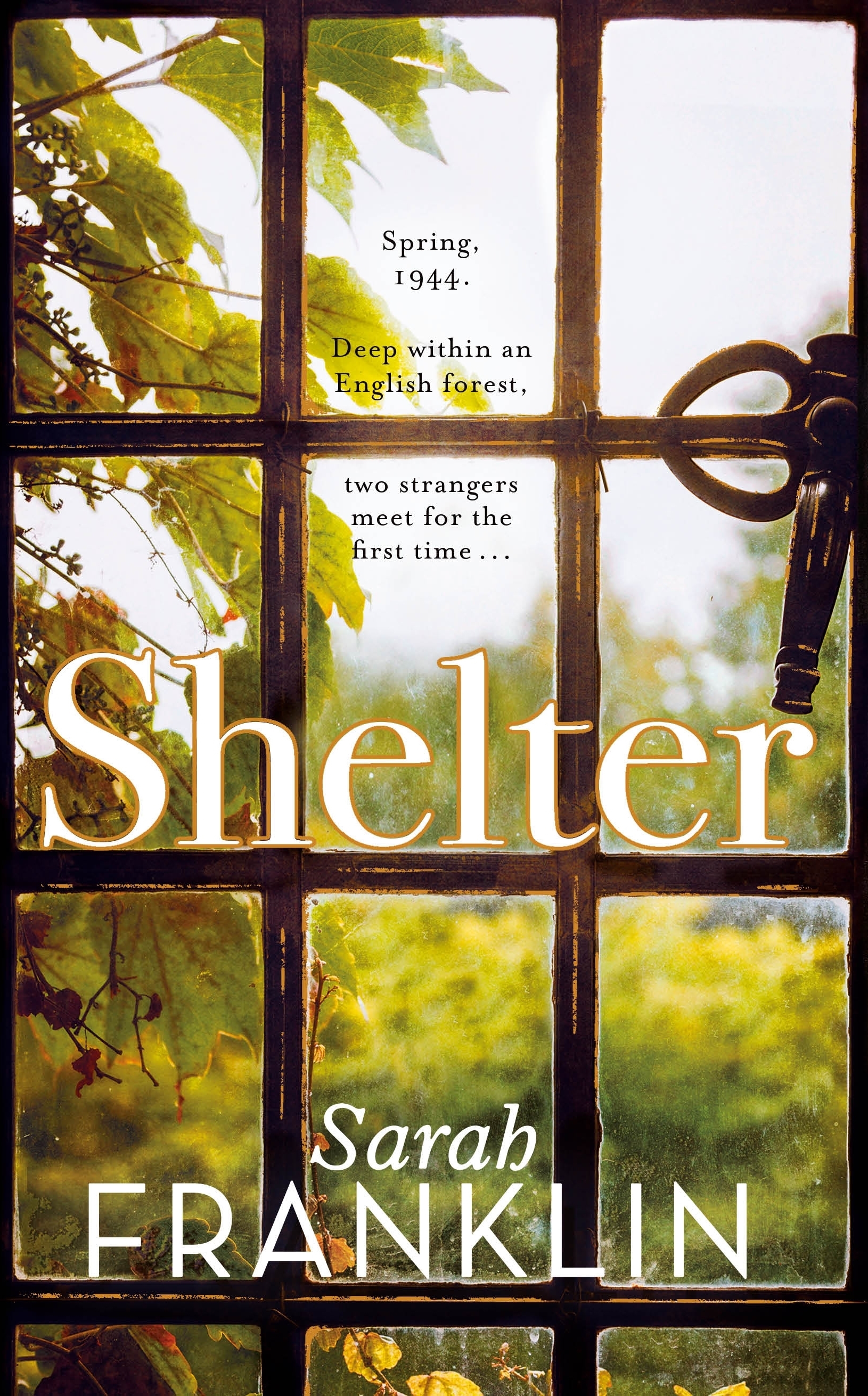 Shelter by Sarah Franklin